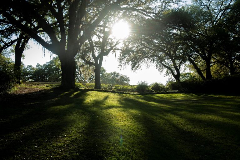 oak knoll country club